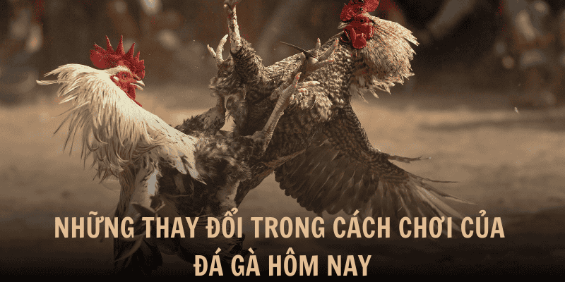 Sự thay đổi trong cách chơi của trò chơi đá gà